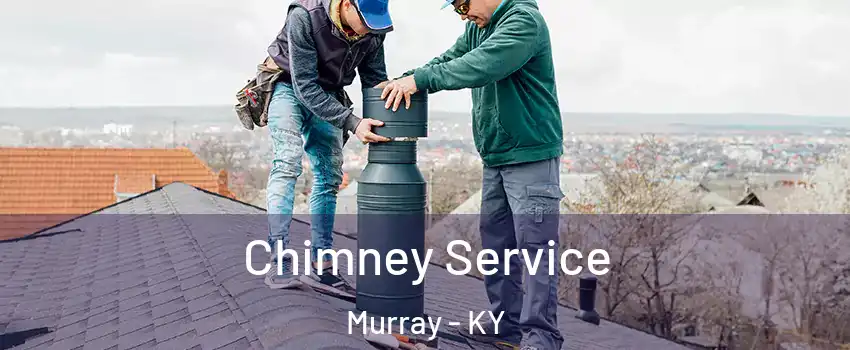  Chimney Service Murray - KY