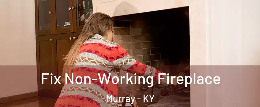  Fix Non-Working Fireplace Murray - KY