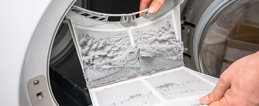 Best Dryer Lint Removal Company in Murray, Kentucky
